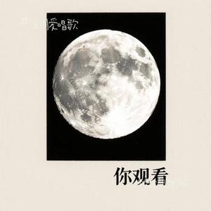 你看你看月亮的脸(Cover 大头针)