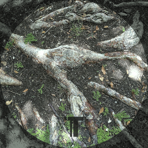 Regenerated (Kenny Campbell Remix)