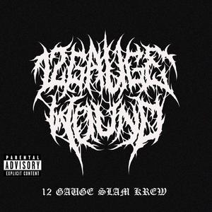 12 GAUGE SINGLE (2025)