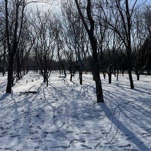 给你我所有的偏爱