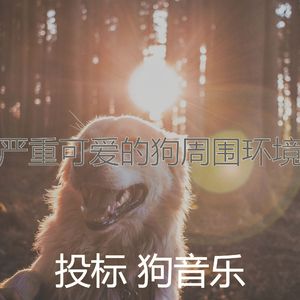 柔和的可爱的狗时刻