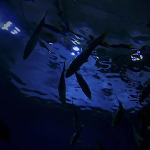 离开pt.4天台随笔（prod MORROW）