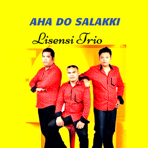 Aha do salakki