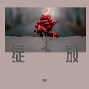 绽放