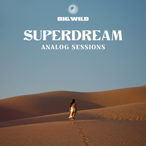 No Words (Analog Sessions)
