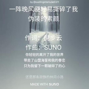 一阵晚风便轻易撕碎了我伪装的素颜