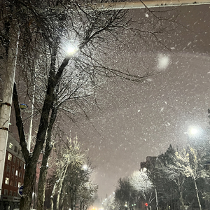 你变成我心中的刺