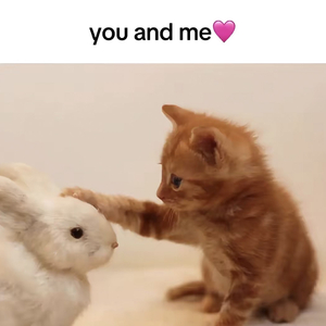 愛讓我們變得好漂亮（Prod.4Harry）