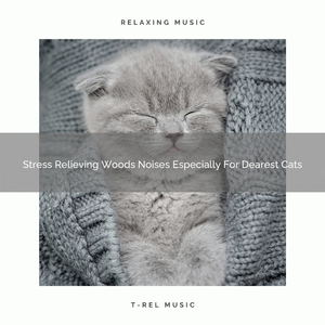 Relaxing Leaves Songs Especially For Your Cats