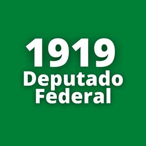 1919 Deputado Federal