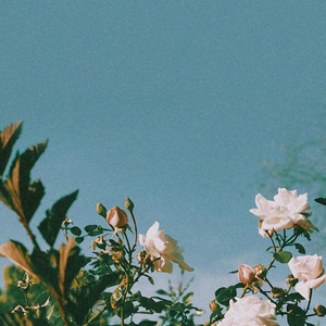 等候（Cover 王华峰）