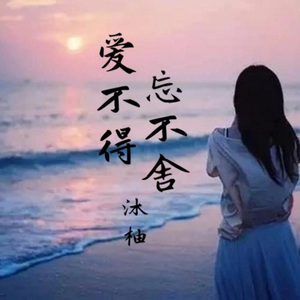 爱不得忘不舍 (DJ加速版)