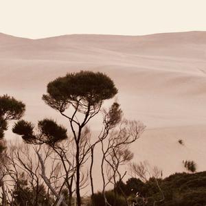 The Sun Shines As My Feet Crunch Through Freshly Fallen Snow