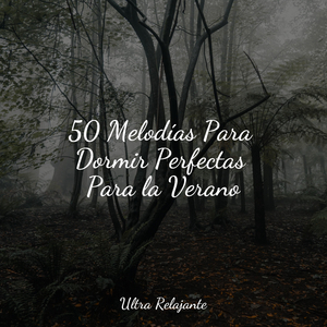 Una Probada A La Tranquilidad