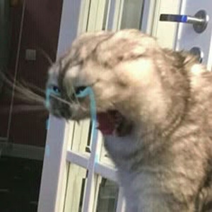 PARAFULMINI (sped up)