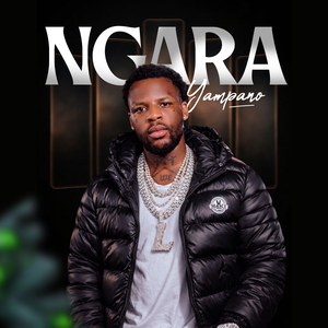 Ngara