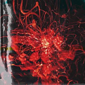 遗忘你只剩下红一片