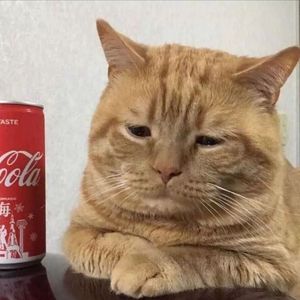 我一点都不想你