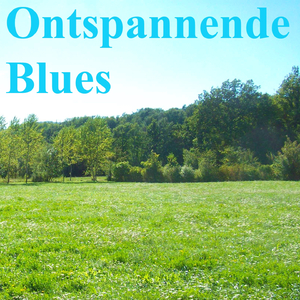 Ontspannende Blues (Slide Gitaar)