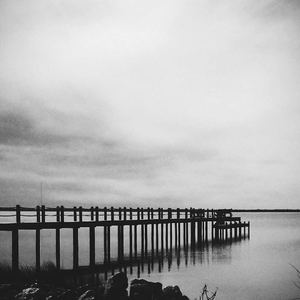 鱼(一分钟试听)