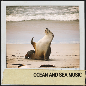 Soft Ripple Splashing