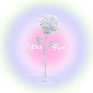白色玫瑰