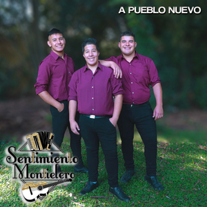 A Pueblo Nuevo