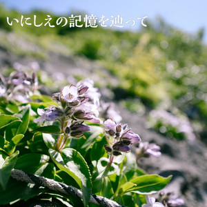 SE