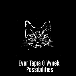 Possibilities (Original Mix)