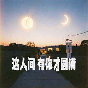 这人间 有你才圆满