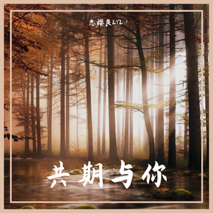 共期与你