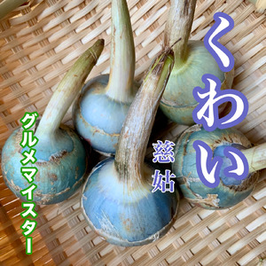 くわい