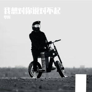 我想对你说对不起