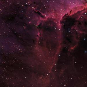 果汁分你一半（翻自 大张伟）