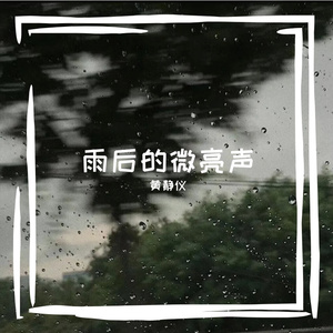雨落的薄回声