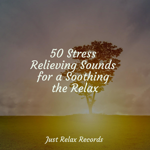 Concrete Lullaby Fantasia