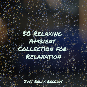 Harmonious Wing Dance