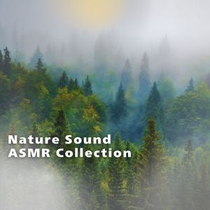 川のせせらぎ-癒やしの自然音-