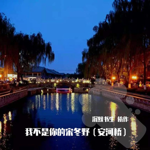 斑马，斑马（宋冬野版remix）