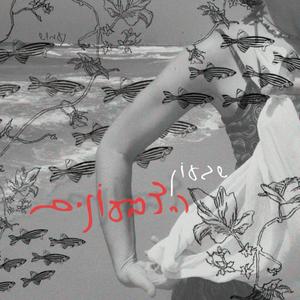 שגעון הצבעונים