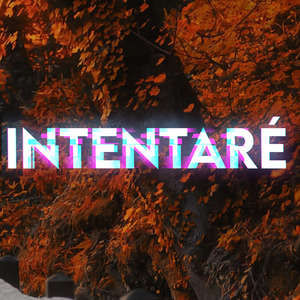 Intentaré (Version Bachata)