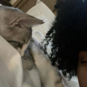 cnt wait 2 cut myself w my fav knife and watch myself bleed out