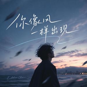 你像风一样出现