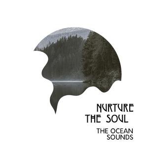 Water Sea and Ocean Waves