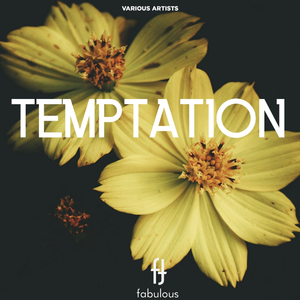 Sliwer (Original Mix)