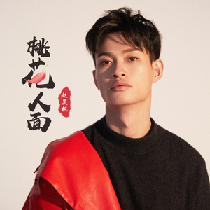 桃花人面 (伴奏)