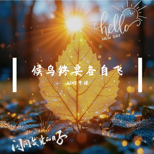 候鸟终要各自飞