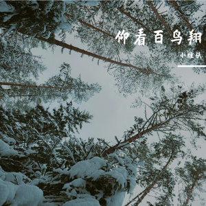 夏日田间即景