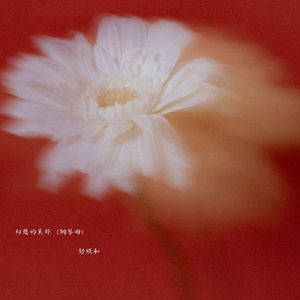 幻想的美好 (钢琴曲)