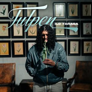 TULPEN